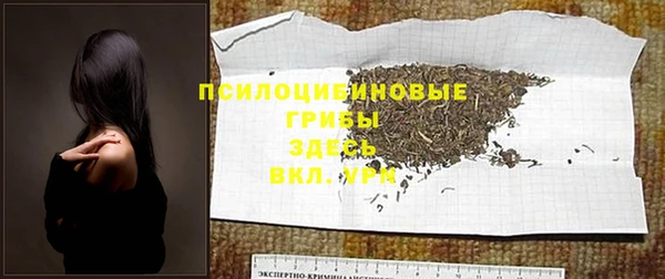 меф Ладушкин