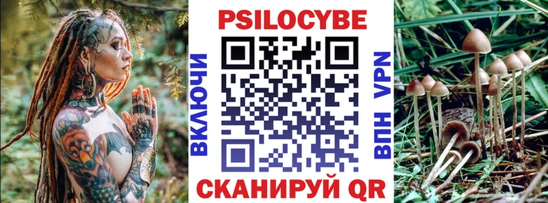 Псилоцибиновые грибы прущие грибы  Купить  Озёрск 